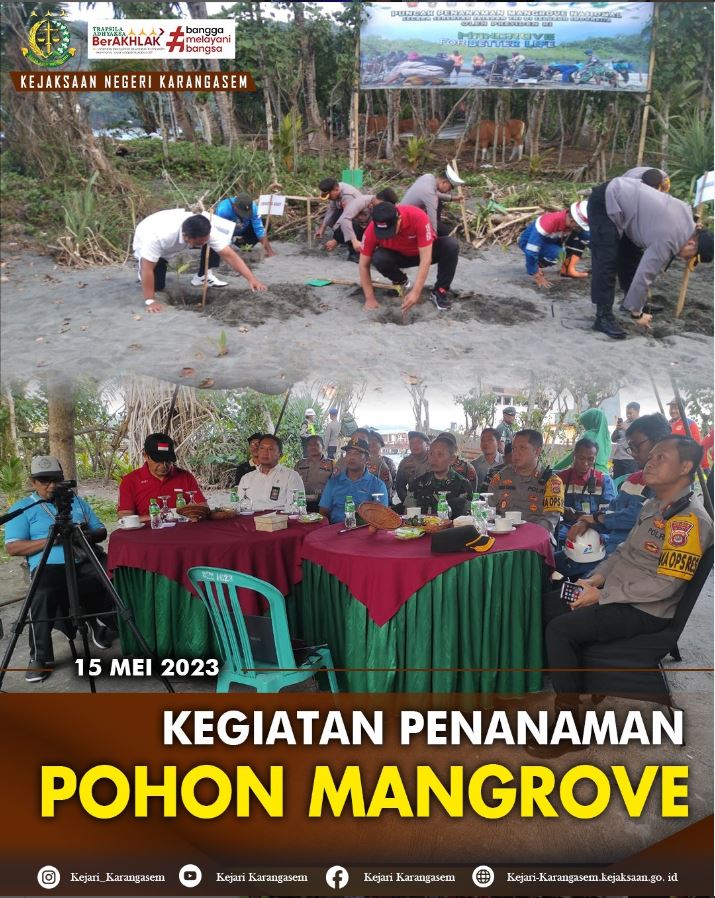 KEGIATAN PENANAMAN POHON MANGROVE